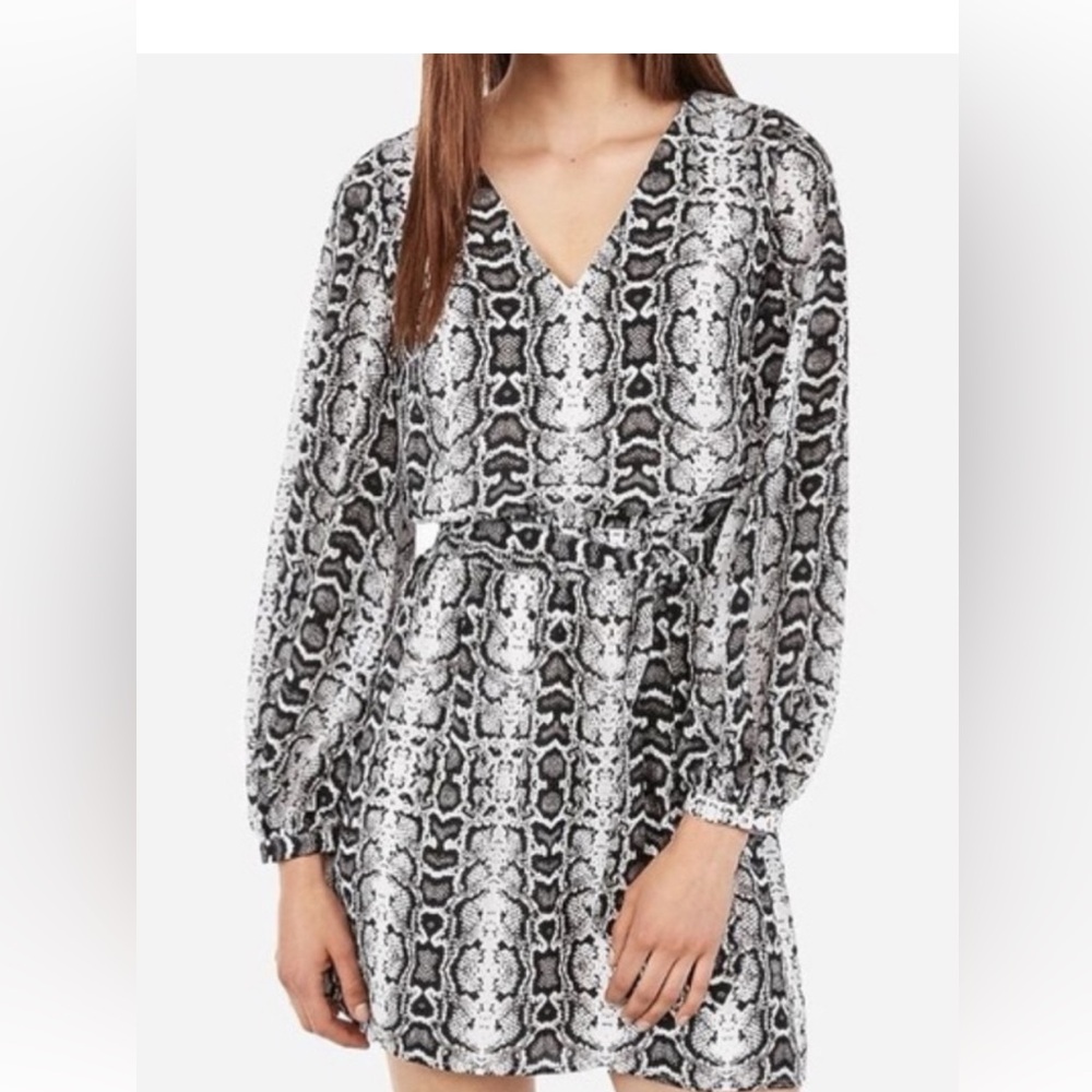 Express Black/White Snake Print Dress